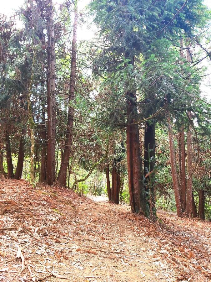 Recanto Das Cerejeiras Campos do Jordão エクステリア 写真