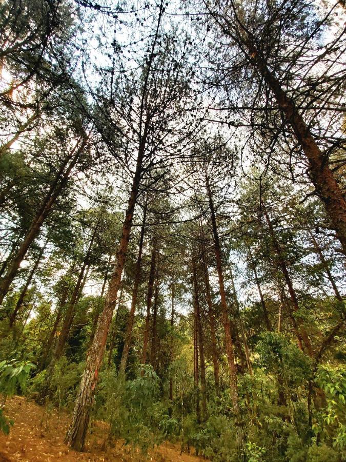 Recanto Das Cerejeiras Campos do Jordão エクステリア 写真